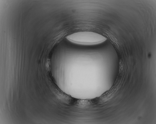 X0000100760141200806190918