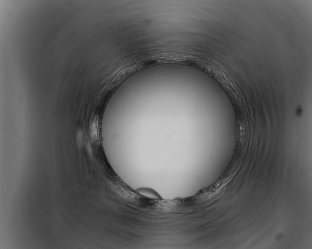 X0000100760143200806190918