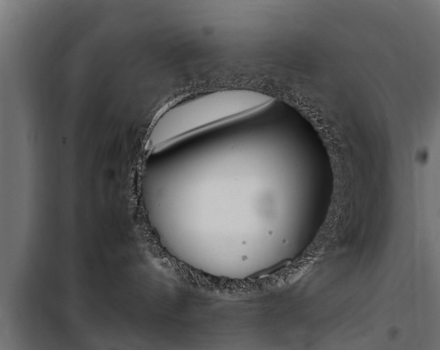 X0000100760144200806190918