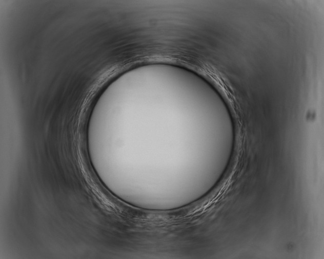 X0000100760145200806190917