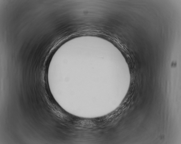 X0000100760146200806190917