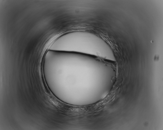 X0000100760147200806190917