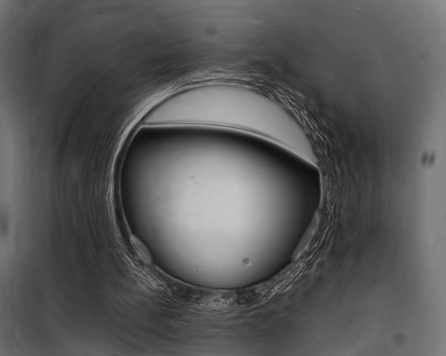 X0000100760148200806190917