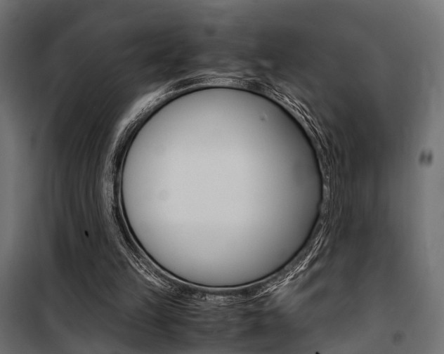 X0000100760149200806190917