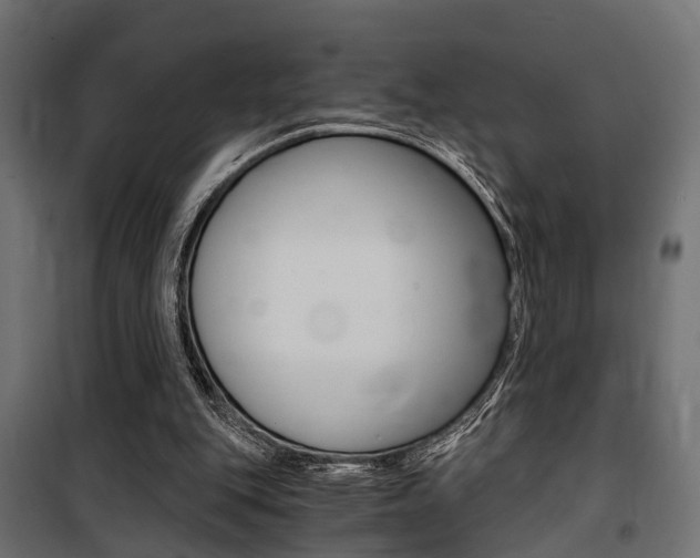 X0000100760151200806190917