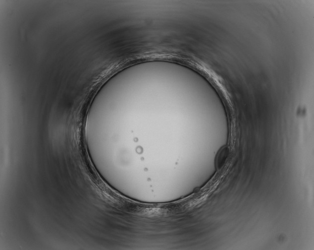 X0000100760153200806190917