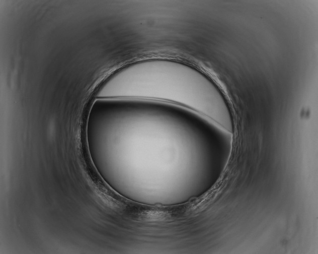 X0000100760154200806190917