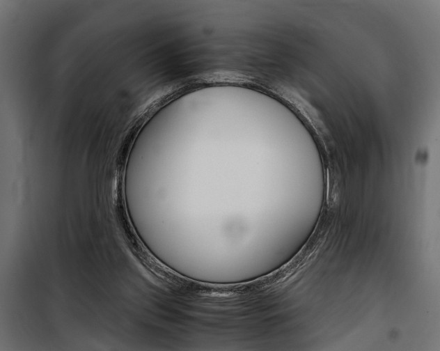 X0000100760157200806190917