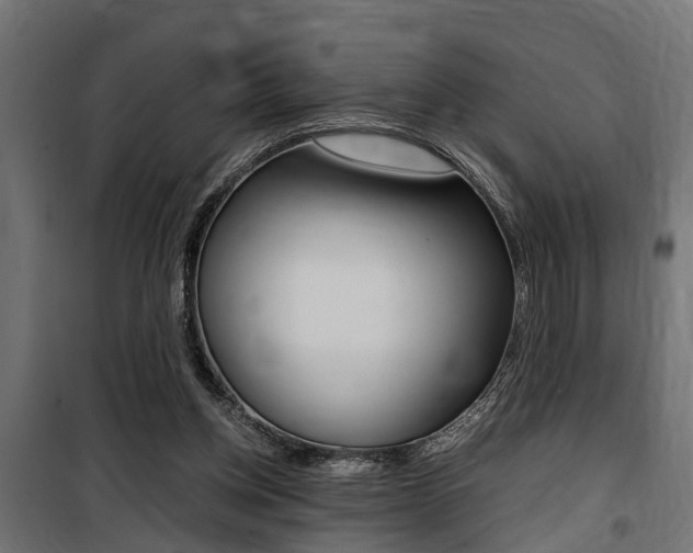 X0000100760158200806190917