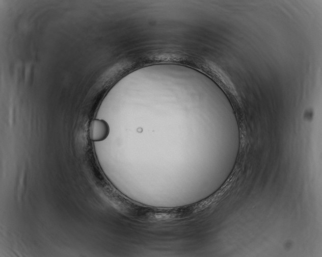 X0000100760163200806190917