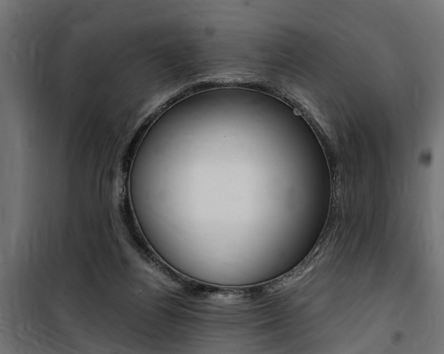 X0000100760164200806190917