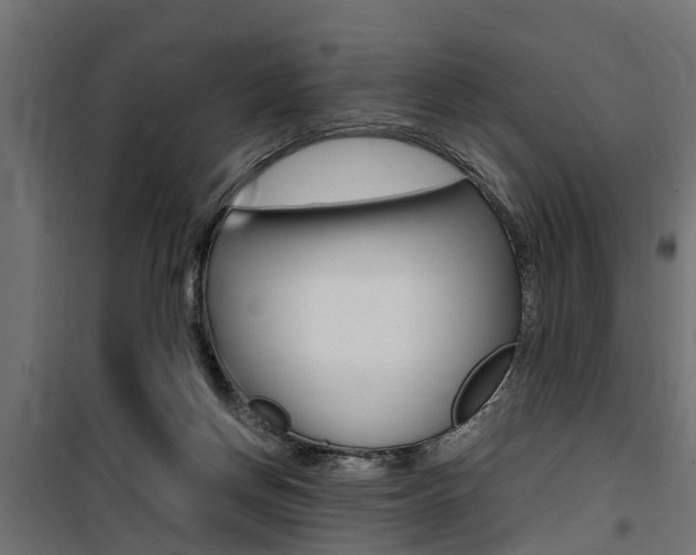 X0000100760166200806190917