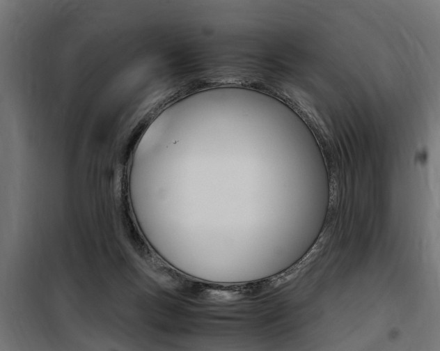 X0000100760167200806190918