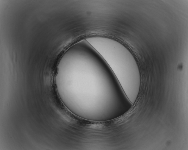 X0000100760168200806190918