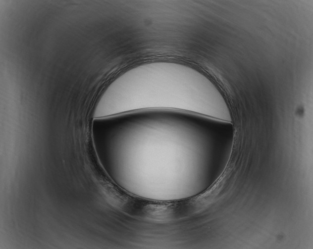 X0000100760170200806190918