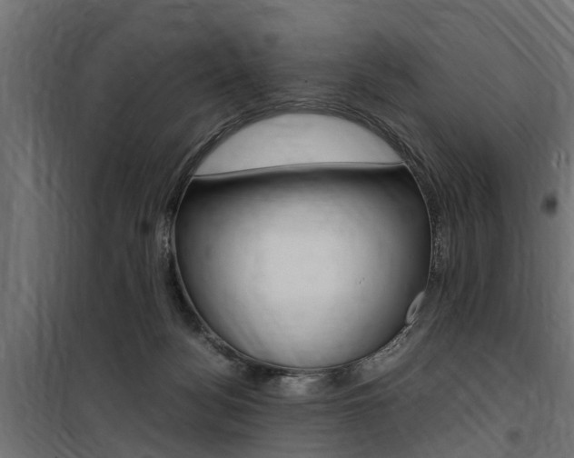 X0000100760172200806190918