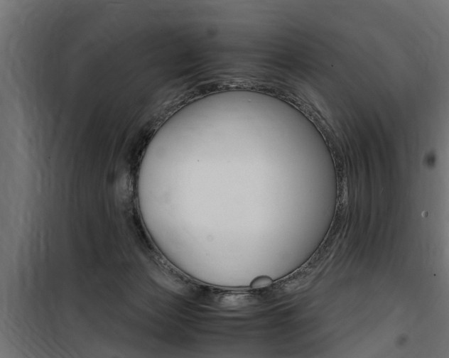 X0000100760173200806190918