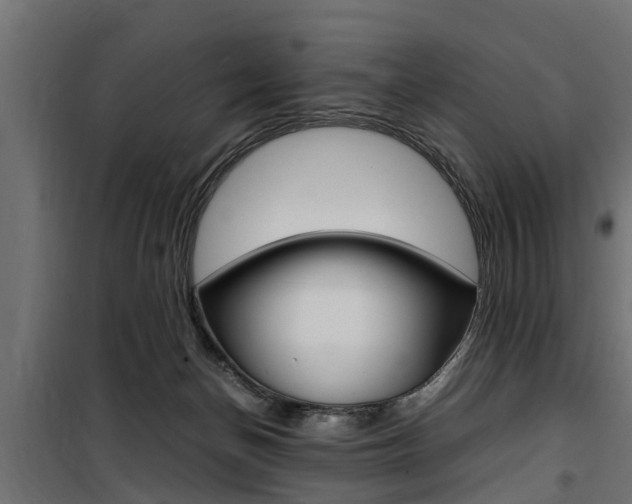 X0000100760174200806190918