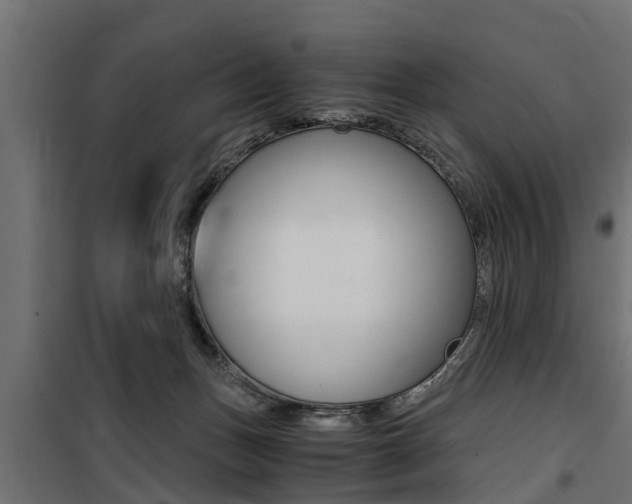 X0000100760175200806190918