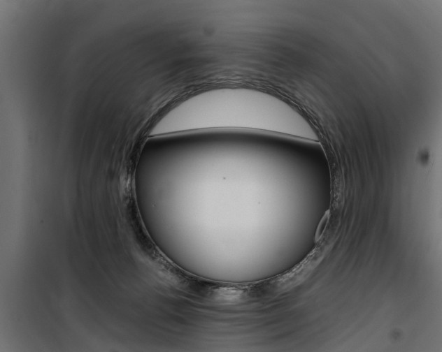 X0000100760176200806190918