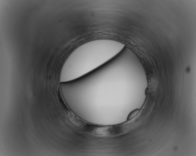 X0000100760178200806190918