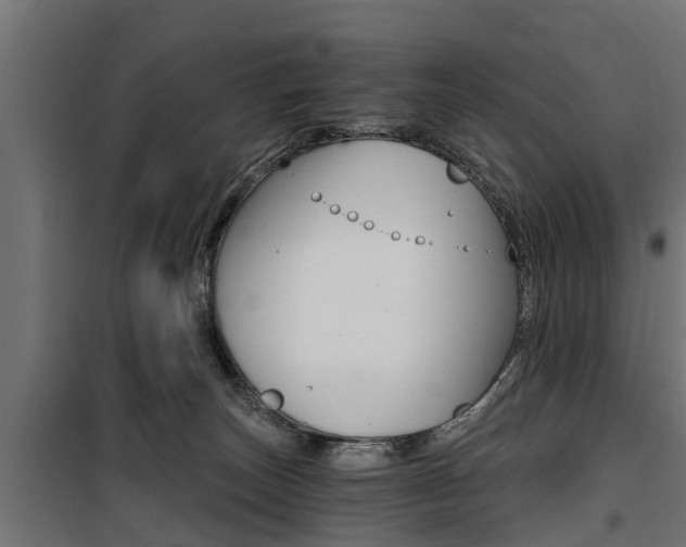 X0000100760179200806190918