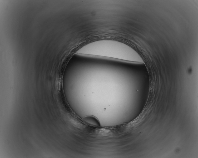 X0000100760180200806190918