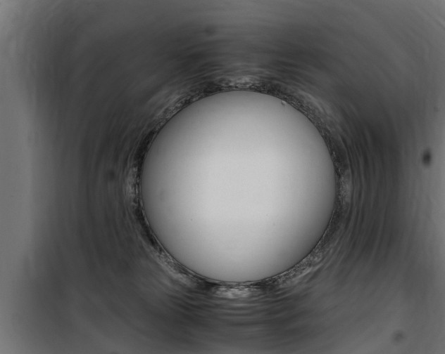 X0000100760181200806190918