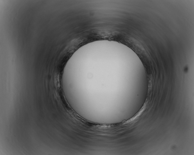 X0000100760182200806190918