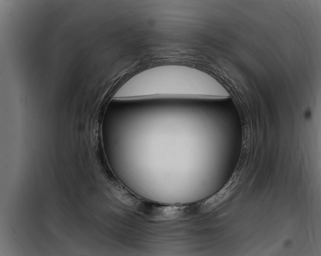 X0000100760184200806190918