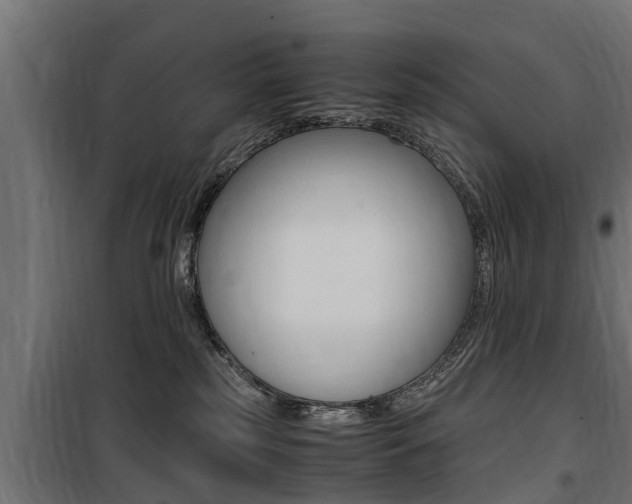 X0000100760185200806190918