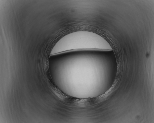 X0000100760186200806190918