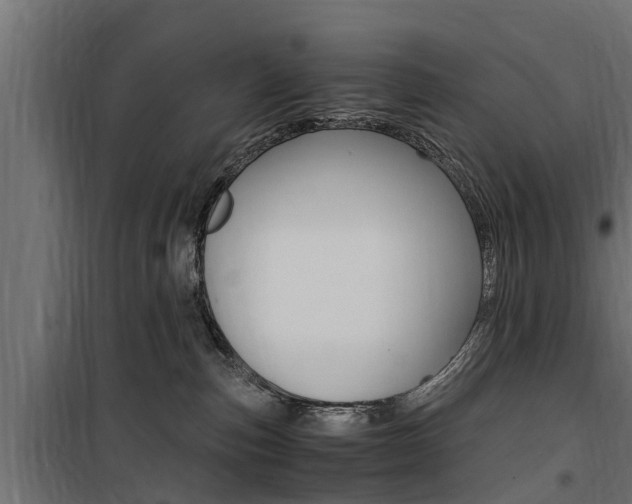 X0000100760187200806190918