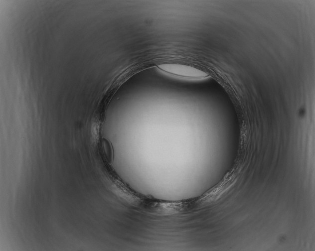 X0000100760188200806190918