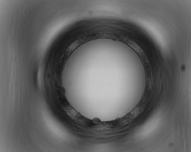 X0000100760189200806190918