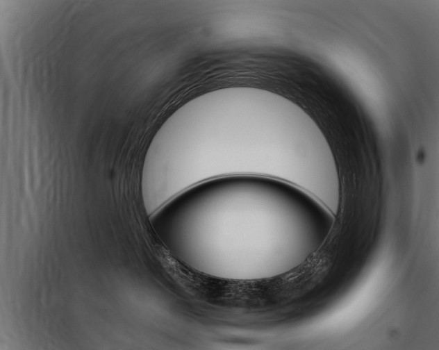 X0000100760190200806190918