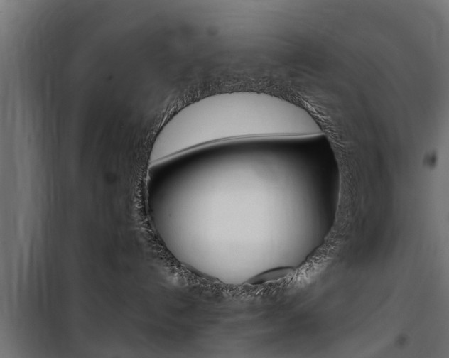 X0000100760192200806190918