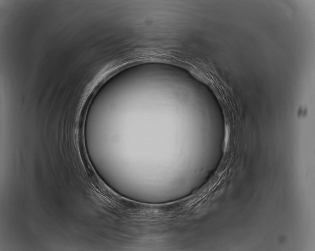 X0000100760195200806190917