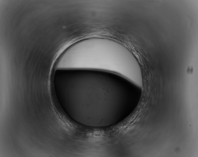 X0000100760196200806190917