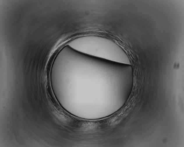 X0000100760198200806190917