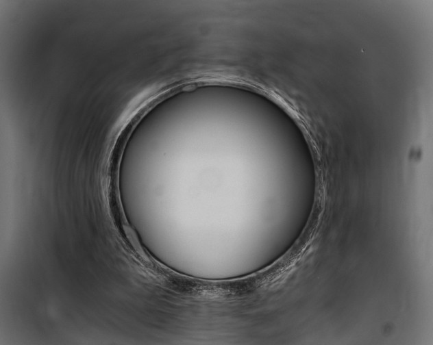 X0000100760199200806190917