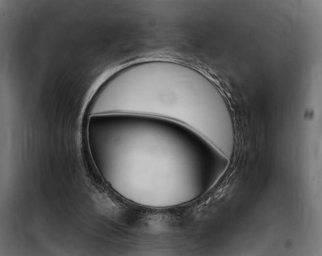 X0000100760200200806190917