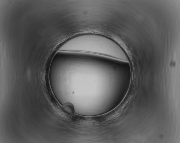 X0000100760201200806190917