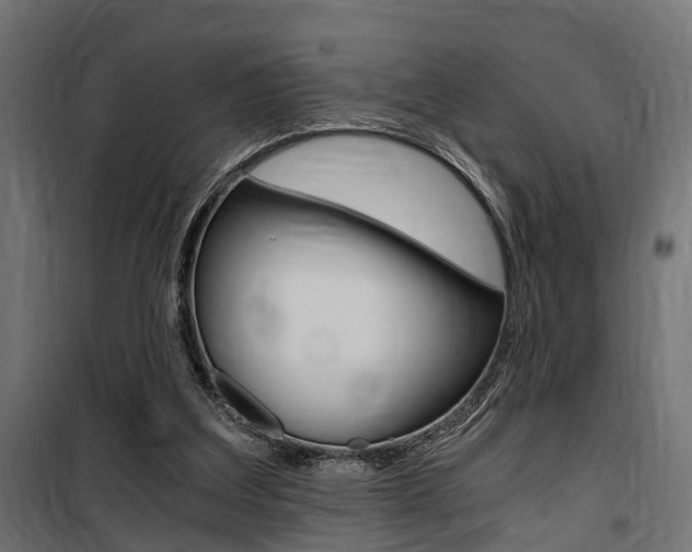 X0000100760203200806190917