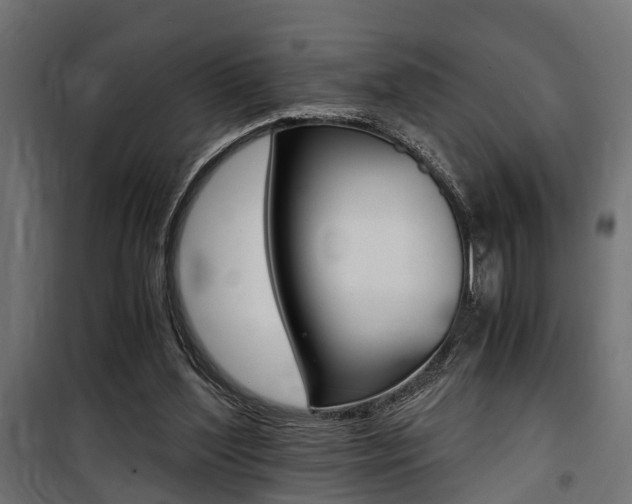 X0000100760204200806190917