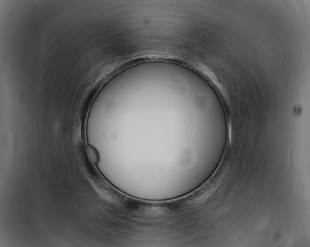 X0000100760205200806190917