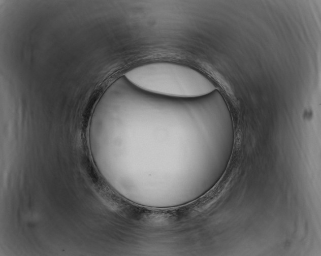 X0000100760209200806190917