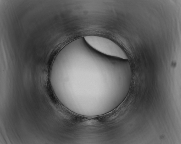 X0000100760210200806190917