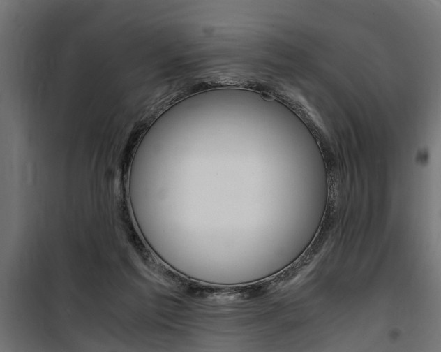 X0000100760213200806190917