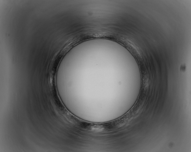 X0000100760214200806190917